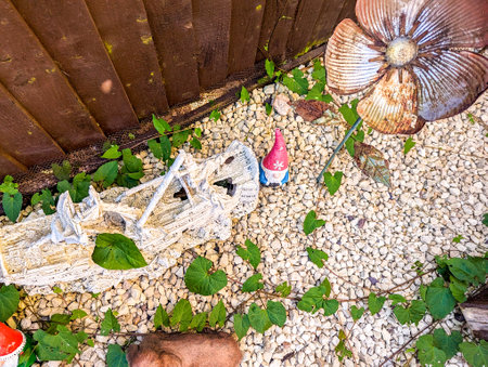 A very difficult and annoying plant to get rid of, the bindweed spread fast and get into all places.の写真素材