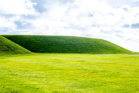 A large open area of colourful green space outdoors.の写真素材