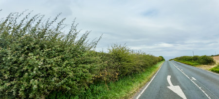 A dry day within the countryside as a vehicle drives along one of the thousands of country roads, within the United Kingdom.の写真素材