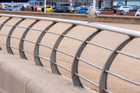 Railings acting as a safety barrier prevent people from falling into the waters when they dare to get close during high tide or stormy weather.の写真素材