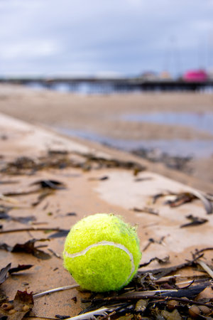 A tennis ball that has been discarded by the ocean as the tide has went out, leaving it on the beach for someone to find and utilize or to throw away.の写真素材