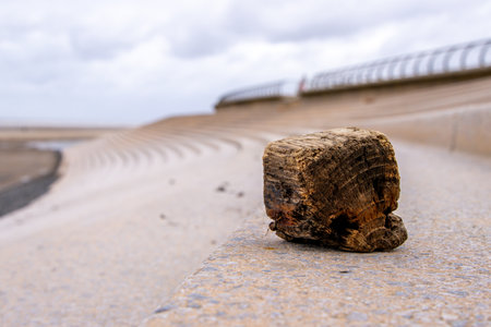 A large cube of driftwood has been washed on the shores.の写真素材