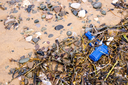 A toy blue gun that has been washed up by the ocean's tide going out, trapped in amongst the...