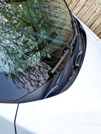 Vehicle covered in debris from an overhanging willow tree. The debris putting the vehicle paintwork and windows at risk of damage(s)の写真素材