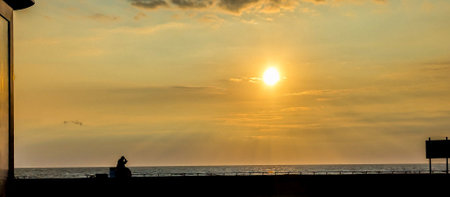 A clear and warm summer's evening as the sun goes down everything is silhouetted against the warm...