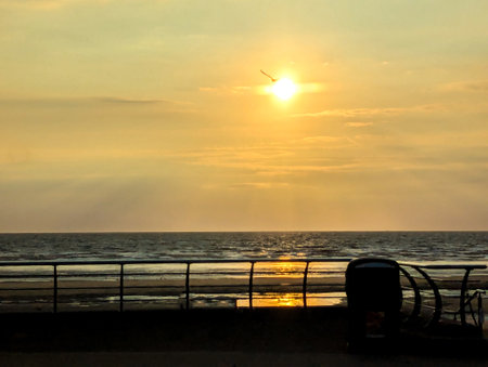 A clear and warm summer's evening as the sun goes down everything is silhouetted against the warm colours of the sky as the sun disappears.の写真素材