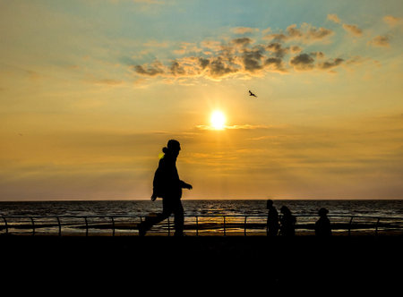 A clear and warm summer's evening as the sun goes down everything is silhouetted against the warm colours of the sky as the sun disappears.の写真素材