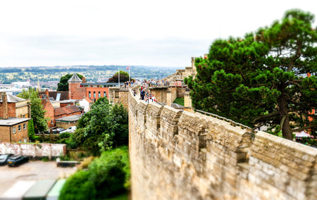 The Hanging Tree sits growing as it has done for hundreds of years within the grounds of the Lincoln Castle walls, once used for hanging criminals.の写真素材