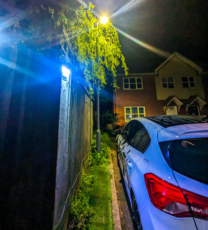 One of the common neighbour issues is overhanging trees, here seen a Willow Tree that has grown out of control.の写真素材