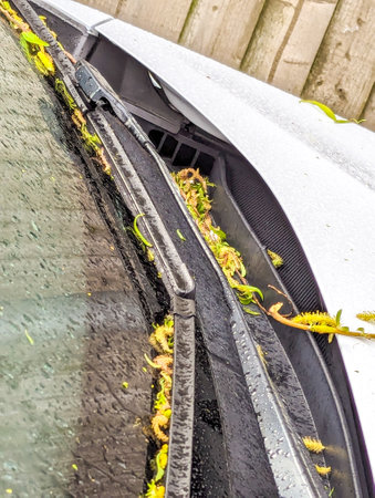 Vehicle covered in debris from an overhanging willow tree. The debris putting the vehicle paintwork and windows at risk of damage(s)の写真素材