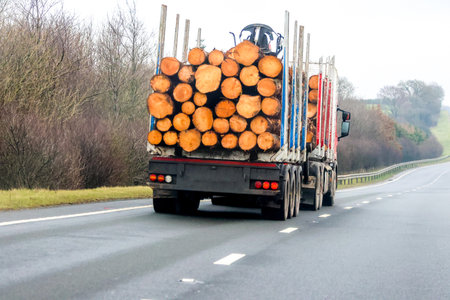 A log transportation lorry driving along the motorway to take several logs that have been chopped down in a forest and now ready for the factory transformation.の写真素材