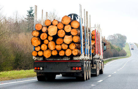 A log transportation lorry driving along the motorway to take several logs that have been chopped down in a forest and now ready for the factory transformation.の写真素材