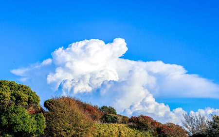 Bad Weather clouds Approaching To Bring Heavy Rain And/Or Strong Winds. Typically dark or large clouds indicate heavy weather is inbound or passing by.の写真素材