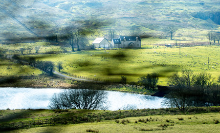Countryside landscape passed at speed seen from a passenger view as the trees rush past.の写真素材