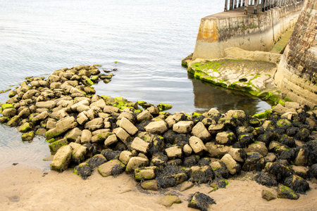 The beaches and coasts of the United Kingdom surrounded by countless sea walls and defenses, here seen a curved wall.の写真素材