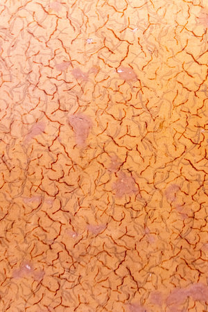 A very strange veiny pattern on a background.の写真素材