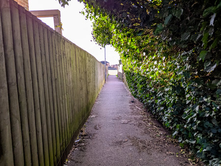 Alleyways often used as throughfare to get from area to area, often seen as the veins of the areas.の写真素材