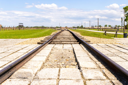 One of the World's most famous railways, the Auschwitz camp railways that brought in thousands of...
