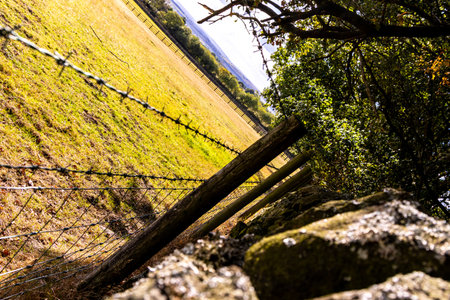 Farmer's fields are surrounded by walls or fences to protect animals from getting out or intruders getting in.の写真素材