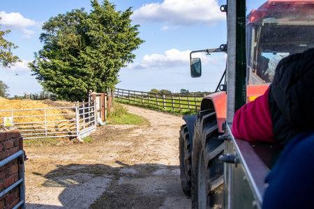 One of the favorite types of mammal is the Highland Cow, originating from Scotland but also found in other area of the United Kingdom.の写真素材
