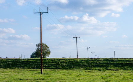 One of the favorite types of mammal is the Highland Cow, originating from Scotland but also found in other area of the United Kingdom.の写真素材