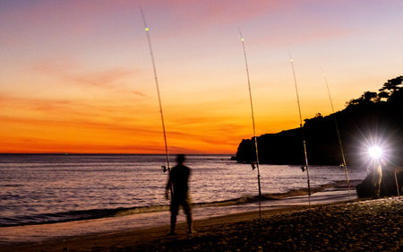 A relaxing sport, fishing on a European beach, at night when the sun is setting. Rods set up with...