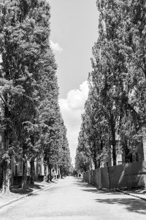 Prisoner of war camp roads between buildings.の写真素材