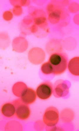 abstract pink background with bokeh defocused lights and shadow