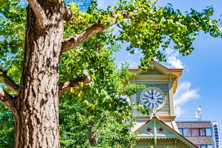 Summer in Hokkaido Sapporo Clock Tower (the dance hall of the former Sapporo Agricultural School)の写真素材