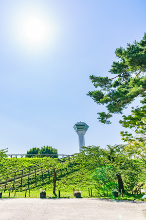 Hokkaido scenery in summer, Goryokaku Parkのeditorial素材