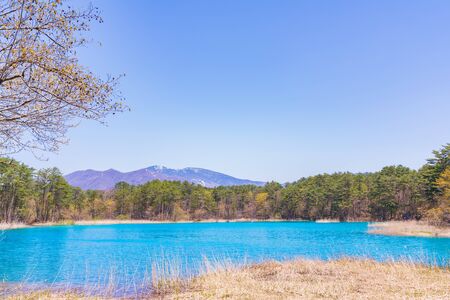 Fukushima Prefecture Urabandai, Benten-numa of Goshikinumaの写真素材
