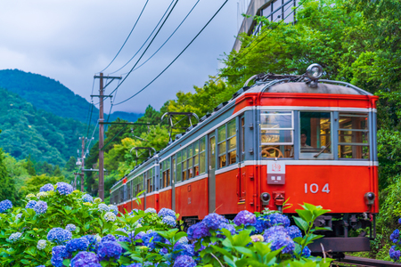 Scenery of Hakone in early summer, Hakone Tozan Railway and Hydrangeaのeditorial素材