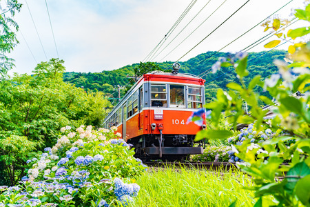 Scenery of Hakone in early summer, Hakone Tozan Railway and Hydrangeaのeditorial素材