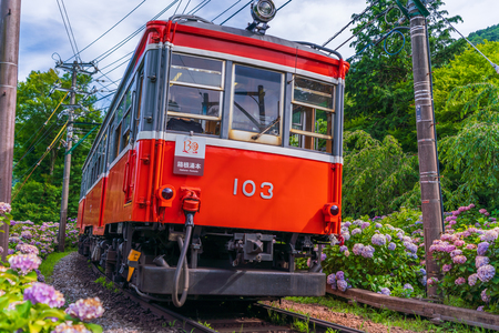 Scenery of Hakone in early summer, Hakone Tozan Railway and Hydrangeaのeditorial素材