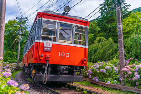Scenery of Hakone in early summer, Hakone Tozan Railway and Hydrangeaのeditorial素材