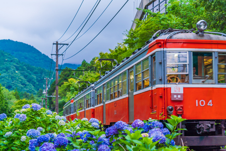 Scenery of Hakone in early summer, Hakone Tozan Railway and Hydrangeaのeditorial素材