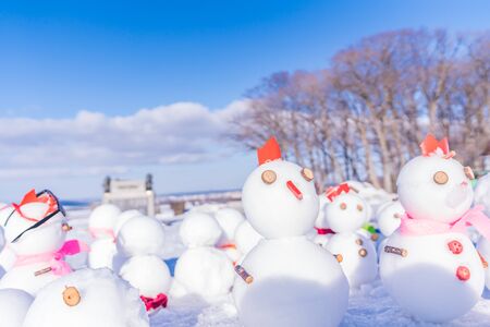 Winter in Hokkaido, Snow view from Sapporo Hitsujigaoka Observatoryの写真素材