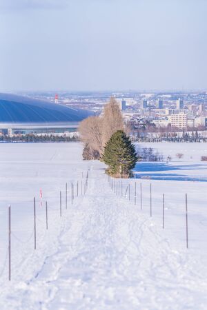 Winter in Hokkaido, Snow view from Sapporo Hitsujigaoka Observatoryの写真素材