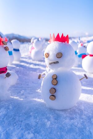Winter in Hokkaido, Snow view from Sapporo Hitsujigaoka Observatoryの写真素材