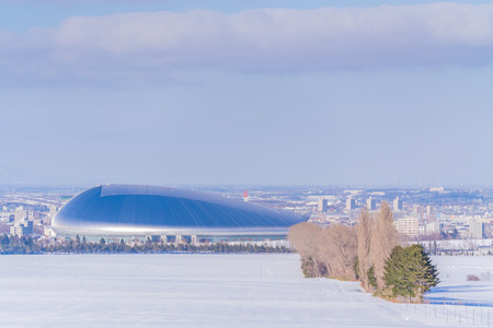 Winter in Hokkaido, Snow view from Sapporo Hitsujigaoka Observatoryのeditorial素材