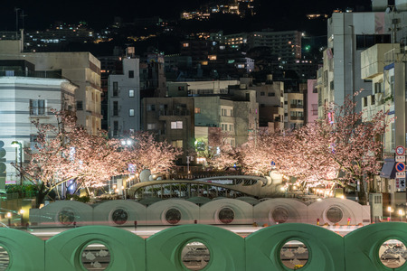 Atami in early spring, Night view of cherry trees along the Itogawa Riverのeditorial素材