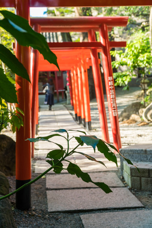 Atami Shrine, Shizuoka Prefectureのeditorial素材