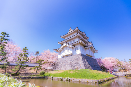 Spring in Japan, Cherry Blossoms of Oshi Castle, Gyoda, Saitama Prefectureのeditorial素材