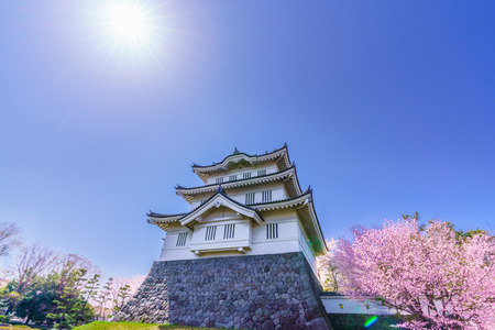 Spring in Japan, Cherry Blossoms of Oshi Castle, Gyoda, Saitama Prefectureのeditorial素材