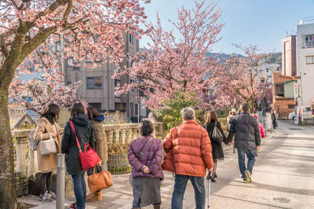 Spring in Japan, Atami Hot Spring Early Blooming Cherry Blossoms Along the ito Riverのeditorial素材
