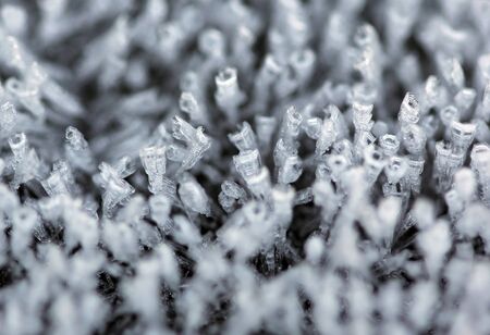 The small tiny ice columns and spikes macro shotの写真素材