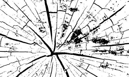 Woodcut texture grunge background. Old cracked wooden log end.のイラスト素材