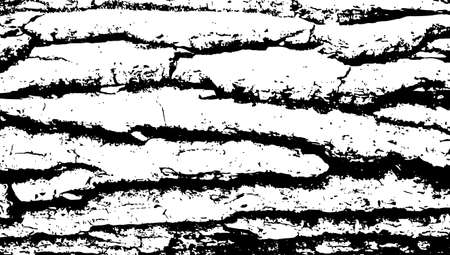 Old wood bark textureのイラスト素材