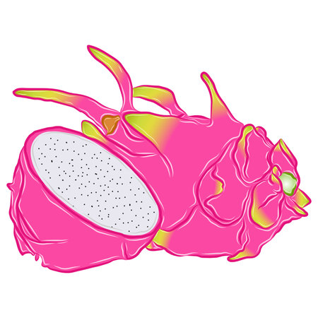 vector picture dragon fruitのイラスト素材