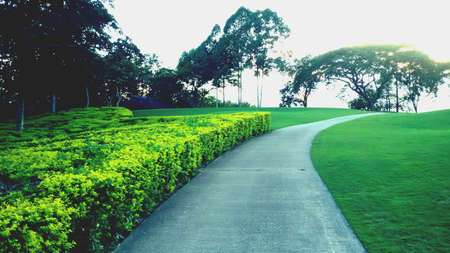Walkpath at the park